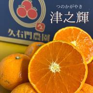 ✨️津之輝✨️つのかがやき5キロ ｜ 果物/オレンジ・その他みかん