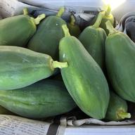 キャッサバ芋 甘味種 ｜ 野菜/その他野菜 産直アウル 農家・漁師など