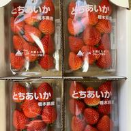 とちあいか 4パック入り2箱 2kg以上 ｜ 果物/いちご 産直アウル 農家