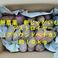 無農薬 新じゃがいも デストロイヤー グランドペチカ 約5kg ｜ 野菜
