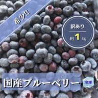 ぷちぷち　限定販売　農家直売新鮮採りたてのブルーベリー 3kg お得【3kg】冷凍ブルーベリー ｜ 果物/ベリー類 産直アウル 農家・漁師
