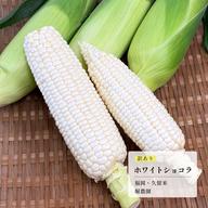 有機質栽培 減農薬 新米夢つくし玄米30キロ ｜ 米・穀物/玄米 産直
