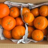 せとか 5k箱 | 果物/オレンジ・その他みかん 産直アウル 農家から直接