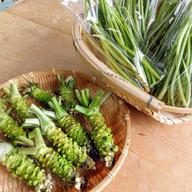 朝採れ 静岡県産希少な花わさび ｜ 野菜/その他野菜 産直アウル 農家
