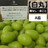 大人気ぶどう一箱約9kg 二箱 忍まるギフトBOX (一箱 約600g) 葡萄 ぶどう 粒ぶどう お中元 ご