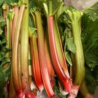 信州産 赤いルバーブ/冷凍 冷凍クール便 | 野菜/その他野菜 産直アウル