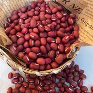 2024年北海道産 ビーツ | 野菜/その他野菜 産直アウル 農家から直接