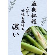 30本】朝取り新鮮ヤングコーン ｜ 野菜/とうもろこし 産直アウル 農家