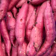 むっちりホクホク‼︎新品種「栗かぐや」 ｜ 野菜/さつまいも 産直