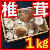 天日干し 乾燥しいたけ 秋田県産 軸なし300g 送料込 | 野菜/野菜の加工