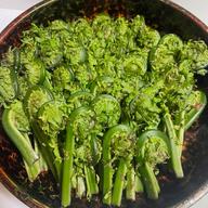 岩手県産松茸200g 長瀬農園おすすめ | 野菜/きのこ 産直アウル 農家