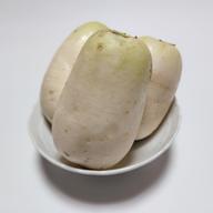 越前福井産辛味大根Sサイズ10個 ｜ 野菜/大根 産直アウル 農家・漁師