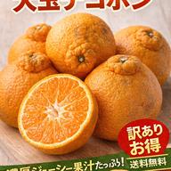 まるたま南高梅青梅 秀品贈答用 大玉サイズ( 2L〜3L) 箱込約10kg