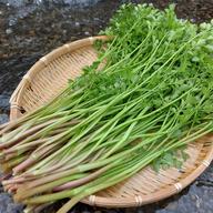 朝採れ 静岡県産希少な花わさび ｜ 野菜/その他野菜 産直アウル 農家