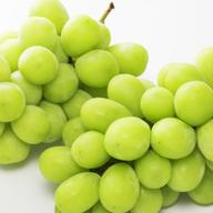 産直】和歌山県有田巨峰村の朝採れシャインマスカット約1.4kg | 果物