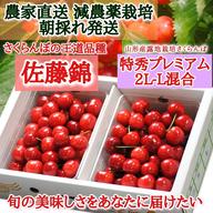 無農薬栽培 セラミドたっぷり☆朝採り当日発送‼ 若桃 ｜ 果物/もも