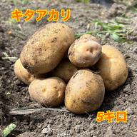 安曇野の大地で育った無農薬新ジャガイモ10キロ ｜ 野菜/じゃがいも