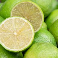 無農薬・ベルガモット1kg | 果物/香酸柑橘(ライム・レモン等) 産直