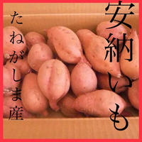 種子島産安納芋　MLサイズ20kg 後藤5 最高金賞受賞】種子島安納いも 5kg・20kg – 健康館