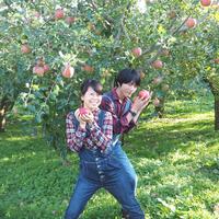 サンふじ 規格外小玉・丸かじりサイズ！ 新聞梱包【12月上旬～発送開始】約5キロ(20～25玉くらい) 約5キロ(20～25玉くらい) 果物/りんご通販
