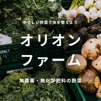 旬のお野菜セット3品　常温便 旬のお野菜セット3品セット 野菜/野菜セット・詰め合わせ通販