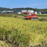 農家直送　和歌山産　にこまる　玄米15キロ　精米無料　無消毒　令和7年産！！ 和歌山の米 にこまる 令和7年産 精米4.5kg（紀北）: ココ・カラ