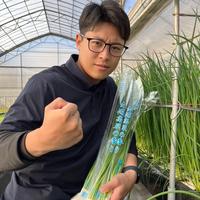 深い味わい！岡山県吉備中央町産【まいたけ 80g×10パック】 約80g×10パック 野菜/きのこ通販