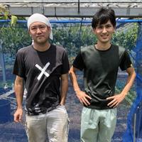 ピクルスソース（玉ねぎ）　２本 ４００ｇ　（２００ｇｘ２本） 調味料/ソース通販