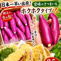宮崎完熟マンゴー2玉約800g ｜ 果物/マンゴー 産直アウル 農家・漁師