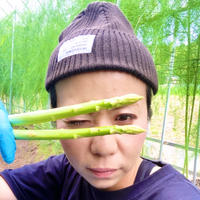 明日晴茶（アスパラ茶） 30g お茶/その他のお茶通販