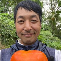 送料500円引] 天然の山蕗(やまぶき・ふき) ｜ 野菜/その他野菜 産直