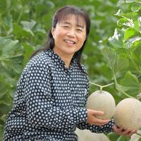 好評！【メロン農家のメロン・ダックワーズ10個入】 メロン・ダックワーズ30ｇ×10個（メロンジャム味5個、メロンクリーム味5個） 加工品/その他加工品通販