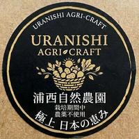 無農薬インカのめざめ 本州、四国、九州の方 ｜ 野菜/じゃがいも 産直