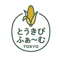 生が甘くて美味しい 新鮮で安全 安心な とうもろこし グラビス 6本