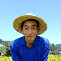 さつまいも ( 薩摩芋 )「紅まさり」5kg 紅まさり５キロ(箱、梱包材を含む)宅急便80サイズ 野菜/さつまいも通販