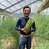 化学肥料・化学農薬不使用！アスパラガス800g アスパラガス　Ｌサイズ８００g 野菜/その他野菜通販