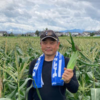驚異の甘さ！フルーツコーン🌽　ミルキースイーツ！10本セット 5キロ 野菜/とうもろこし通販