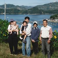 【希少柑橘】媛小春 2kg『黄色いのに驚きの甘さ』【流通量の少ないレア品種】（家庭用） 媛小春 2kg 果物/オレンジ・その他みかん通販