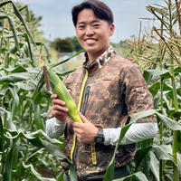 採れたて新鮮 ひげつきヤングコーン ｜ 野菜/とうもろこし 産直アウル