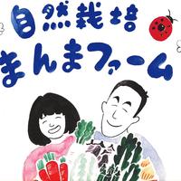 自然栽培スナップエンドウ1.5kg スナップエンドウ　バラ1.5kg 野菜/その他野菜通販