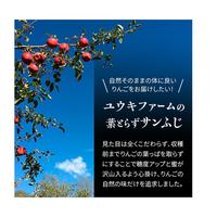 青森県産りんご 糖度13%以上 自然りんご栽培葉とらずサンふじ「限定