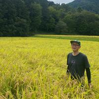 京都産 花山椒 ｜ その他/食用花 産直アウル 農家・漁師など生産者から