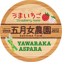 究極の完熟「うまいちご」デラックス9玉入 330g 果物/いちご通販