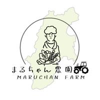 長野産ワッサー 家庭用4.5キロ　2箱セット まるちゃん農園の長野市産！朝取りワッサー5キロ ｜ 果物/もも 産直
