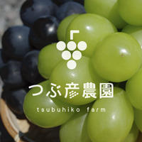 ハリ艶‼︎シャインマスカット【長野産】【クール便】 | 果物/ぶどう