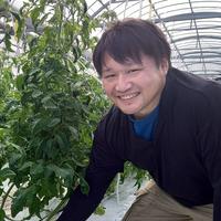 東春人気の不揃いトマトとミニミニサイズの詰め合わせ トマト詰め合わせ4㎏ 野菜/トマト通販