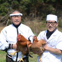 【炙り焼きシリーズ】お買い得セット 100g×4パック 肉/お肉セット・詰め合わせ通販