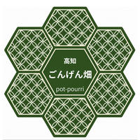農家直送 高知県産新生姜訳あり品3キロ ｜ 野菜/薬味 産直アウル 農家