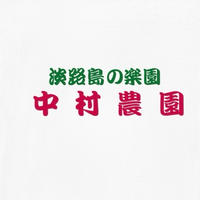 シャキシャキ食感のレタスセット Mサイズ〜Lサイズ6玉セット 野菜/レタス通販