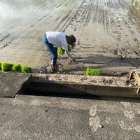 特A米 令和7年産(新米)夢しずく玄米20kg | 米・穀物/玄米 産直アウル